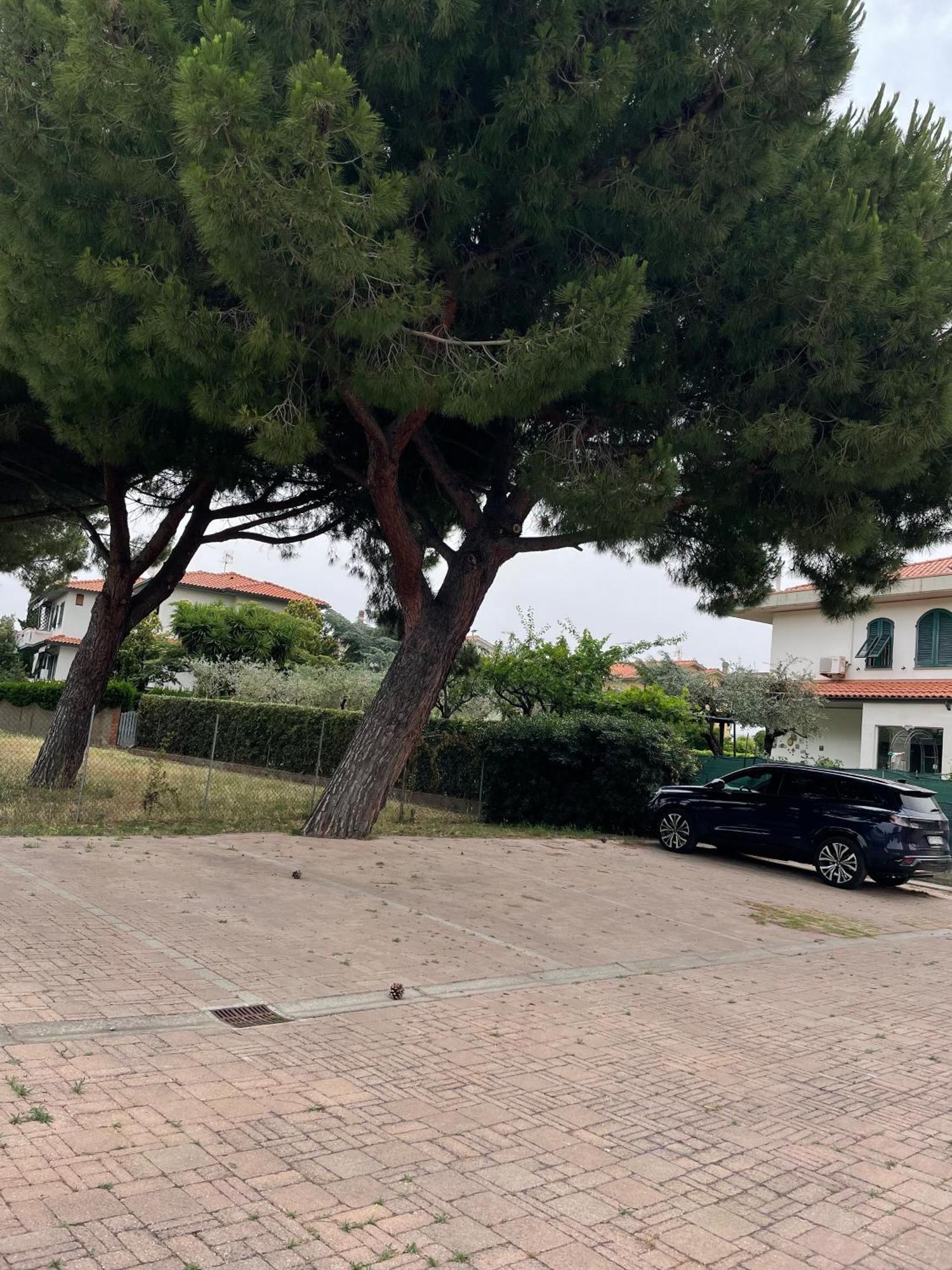 Casa Vacanze Le Due Torri Vada Exterior foto